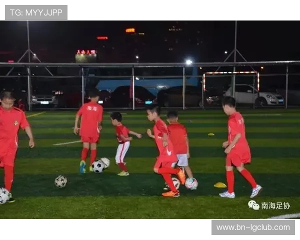 南海俱乐部足球发展历程与区域青少年培养体系建设研究 南海俱乐部足球发展历程与区域青少年培养体系建设研究